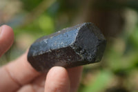 Natural Alluvial Schorl Black Tourmaline Crystals x 35 From Zimbabwe