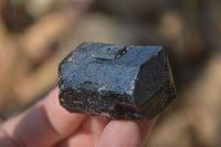 Natural Alluvial Schorl Black Tourmaline Crystals x 35 From Zimbabwe