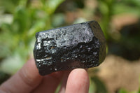 Natural Alluvial Schorl Black Tourmaline Crystals x 35 From Zimbabwe