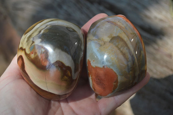 Polished On One Side Polychrome Jasper x 6 From Mahajanga, Madagascar