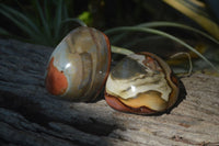 Polished On One Side Polychrome Jasper x 6 From Mahajanga, Madagascar