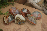 Polished On One Side Polychrome Jasper x 6 From Mahajanga, Madagascar