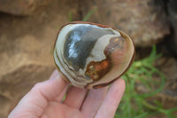 Polished On One Side Polychrome Jasper x 6 From Mahajanga, Madagascar