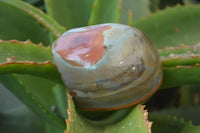 Polished On One Side Polychrome Jasper x 6 From Mahajanga, Madagascar