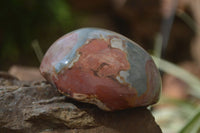 Polished On One Side Polychrome Jasper x 6 From Mahajanga, Madagascar