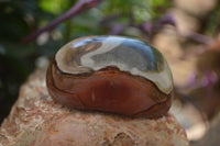 Polished On One Side Polychrome Jasper x 6 From Mahajanga, Madagascar