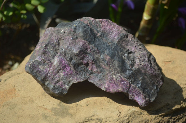 Natural Sugilite Specimen x 1 From Zambia