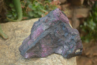 Natural Sugilite Specimen x 1 From Zambia