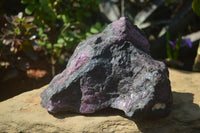 Natural Sugilite Specimen x 1 From Zambia