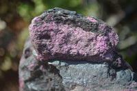 Natural Sugilite Specimen x 1 From Zambia