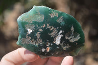 Polished On One Side Emerald Mtorolite x 15 From Mutorashanga, Zimbabwe