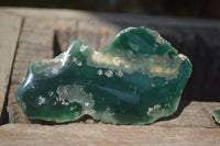 Polished On One Side Emerald Mtorolite x 15 From Mutorashanga, Zimbabwe