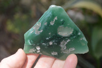 Polished On One Side Emerald Mtorolite x 15 From Mutorashanga, Zimbabwe