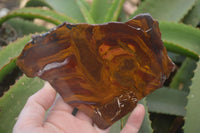 Polished On One Side Nguni Jasper x 2 From Prieska, South Africa