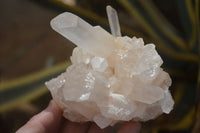 Natural Mixed Quartz Clusters x 5 From Madagascar