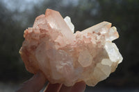 Natural Mixed Quartz Clusters x 5 From Madagascar