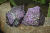 Natural Metallic Purpurite Cobbed Specimens x 12 From Erongo, Namibia