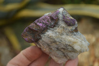 Natural Metallic Purpurite Cobbed Specimens x 12 From Erongo, Namibia