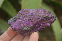 Natural Metallic Purpurite Cobbed Specimens x 12 From Erongo, Namibia