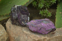 Natural Metallic Purpurite Cobbed Specimens x 12 From Erongo, Namibia