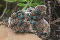 Natural Ball Malachite On Quartz Matrix Specimen x 1 From Kambove, Congo