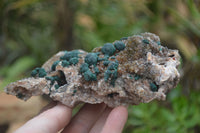 Natural Ball Malachite On Quartz Matrix Specimen x 1 From Kambove, Congo