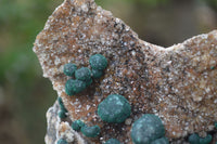 Natural Ball Malachite On Quartz Matrix Specimen x 1 From Kambove, Congo