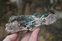 Natural Ball Malachite On Quartz Matrix Specimen x 1 From Kambove, Congo