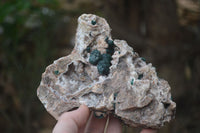 Natural Ball Malachite On Quartz Matrix Specimen x 1 From Kambove, Congo