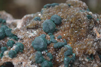 Natural Ball Malachite On Quartz Matrix Specimen x 1 From Kambove, Congo