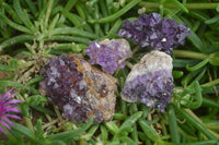 Natural Amethystos Amethyst Clusters x 37 From Kwaggafontein, South Africa