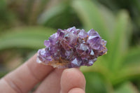 Natural Amethystos Amethyst Clusters x 37 From Kwaggafontein, South Africa