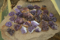 Natural Amethystos Amethyst Clusters x 37 From Kwaggafontein, South Africa