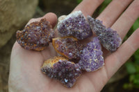 Natural Amethystos Amethyst Clusters x 37 From Kwaggafontein, South Africa