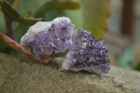 Natural Amethystos Amethyst Clusters x 37 From Kwaggafontein, South Africa