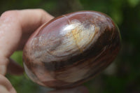 Polished Podocarpus Petrified Wood Standing Free Forms x 2 From Mahajanga, Madagascar