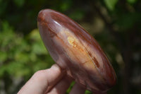 Polished Podocarpus Petrified Wood Standing Free Forms x 2 From Mahajanga, Madagascar