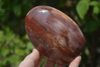 Polished Podocarpus Petrified Wood Standing Free Forms x 2 From Mahajanga, Madagascar