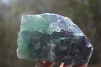 Natural Watermelon Fluorite Cobbed Specimens x 3 From Uis, Namibia