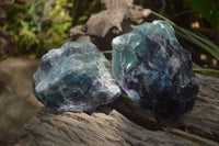 Natural Watermelon Fluorite Cobbed Specimens x 3 From Uis, Namibia