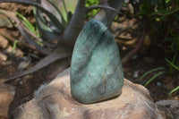 Polished Fuchsite Quartz Standing Free Form x 1 From Madagascar