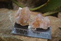 Natural Spirit Quartz Clusters x 12 From Boekenhouthoek, South Africa