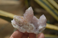 Natural Spirit Quartz Clusters x 12 From Boekenhouthoek, South Africa