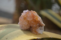 Natural Spirit Quartz Clusters x 12 From Boekenhouthoek, South Africa