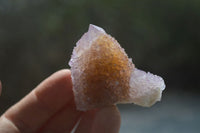 Natural Spirit Quartz Clusters x 12 From Boekenhouthoek, South Africa