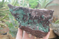 Natural Ball Malachite On Red Dolomite Matrix Specimen x 1 From Likasi, Congo