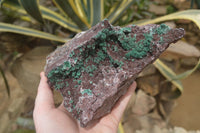 Natural Ball Malachite On Red Dolomite Matrix Specimen x 1 From Likasi, Congo