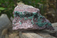 Natural Ball Malachite On Red Dolomite Matrix Specimen x 1 From Likasi, Congo