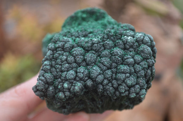 Natural Silky Malachite Specimens x 4 From Kasompe, Congo