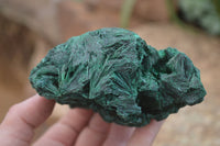 Natural Silky Malachite Specimens x 4 From Kasompe, Congo